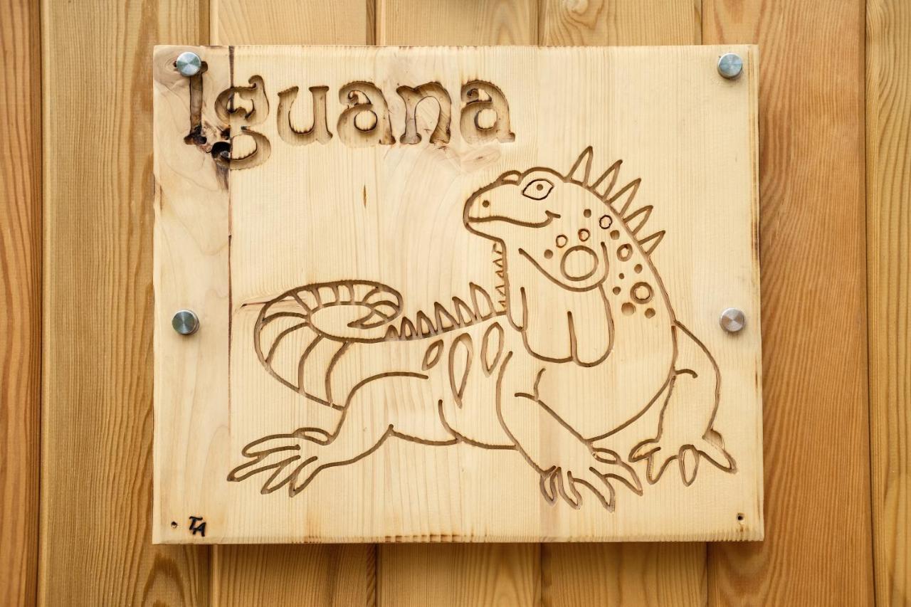 לנדאו אין דר פאלץ Iguana - Das Tiny Haus Am Reptilienzoo Reptilium מראה חיצוני תמונה